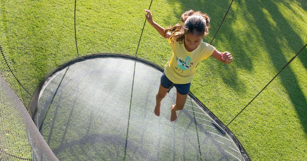 7 Tips for Keeping Birds and Leaves Off Your Trampoline
